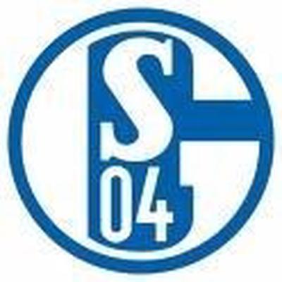 Wer sollte eurer Meinung nach neuer Trainer von Schalke 04 werden?
