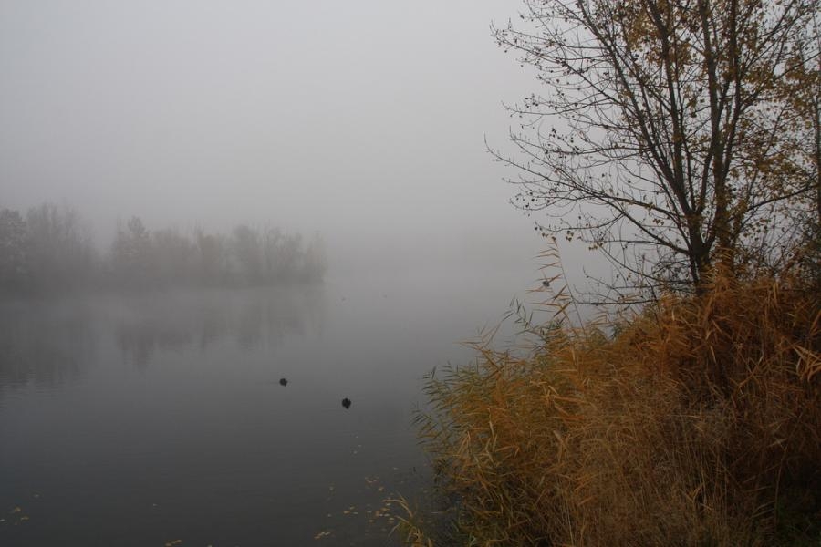 Nein, niemals! Alles naß und grau, Nebel und Matsch. Herbst ist richtig fies.