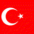Sieg Türkei