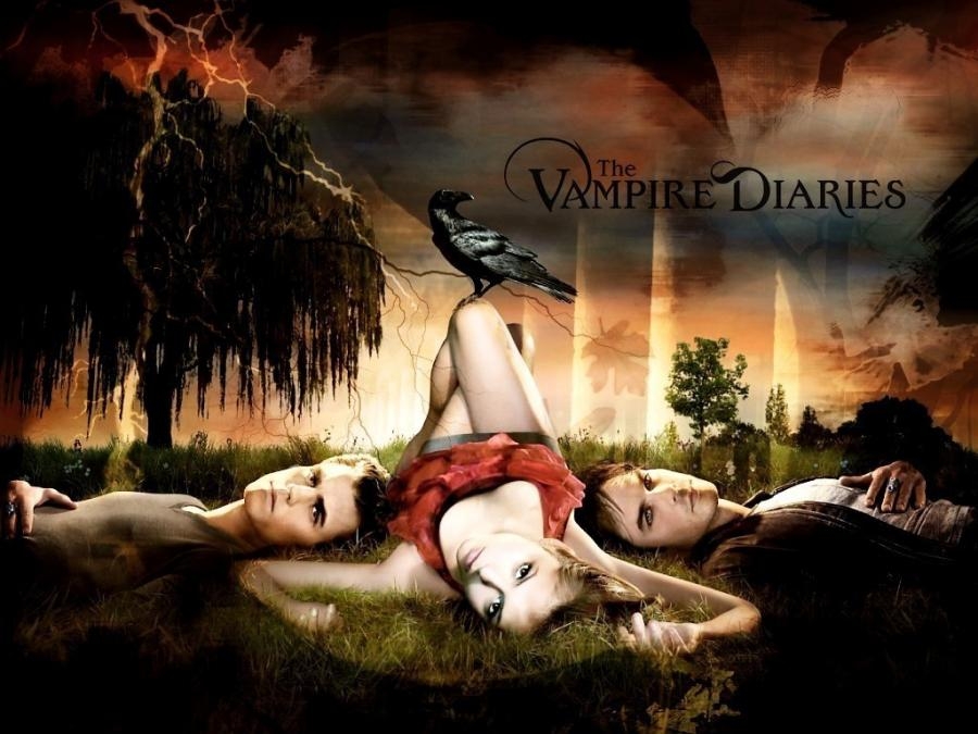 Vampire Diaries: Stefan oder Damon?