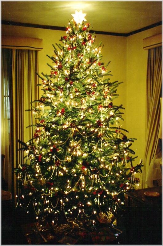 Habt Ihr den Weihnachtsbaum schon geschmückt ?