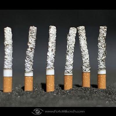 Seid ihr Raucher oder Nichtraucher?