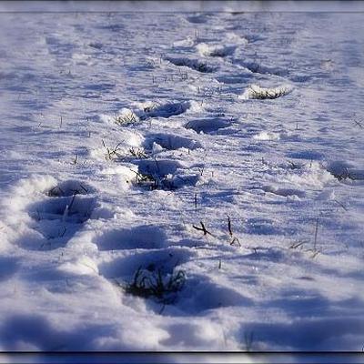 Schneit es im Winter 2011/2012 noch einmal im Flachland?