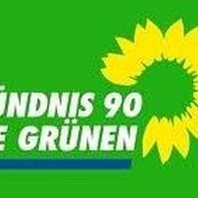 Wer wird Kanzlerkandidat der Grünen für 2013?