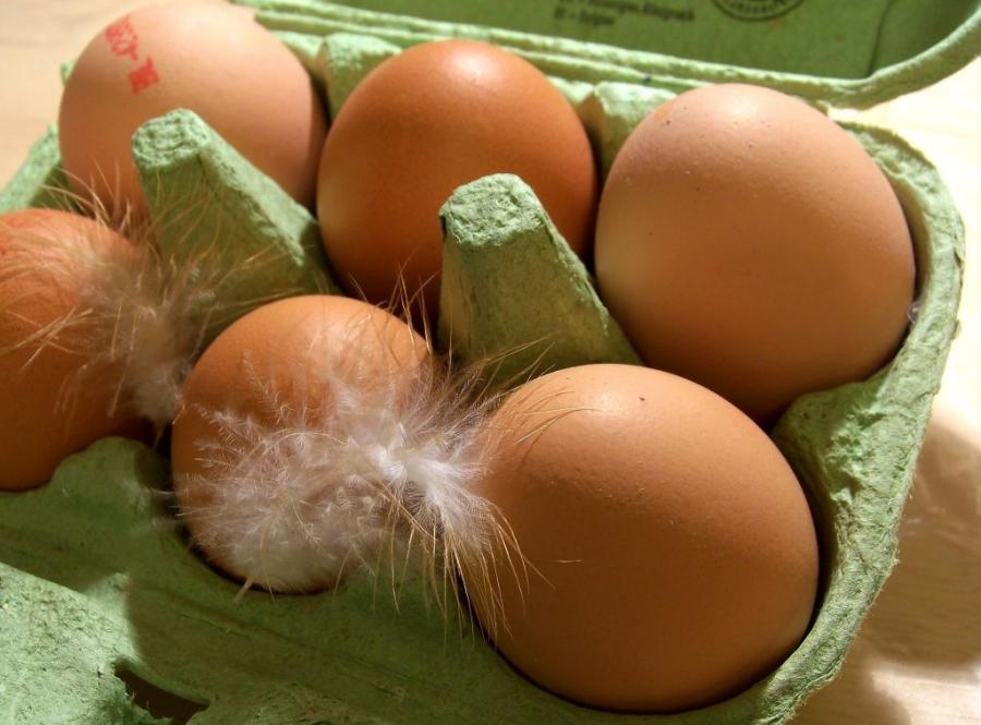 Eier - welche Packung kauft ihr?