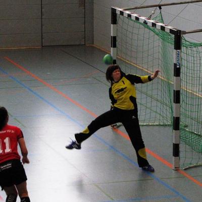 Wer wird Handball-Europameister 2012 ?
