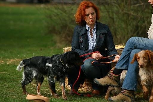 Was haltet ihr davon, dass Claudia Ludwig bei der WDR-Sendung "Tiere suchen ein Zuhause" ausgebootet werden soll?