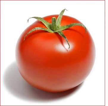 Was ist die Tomate wirklich ?