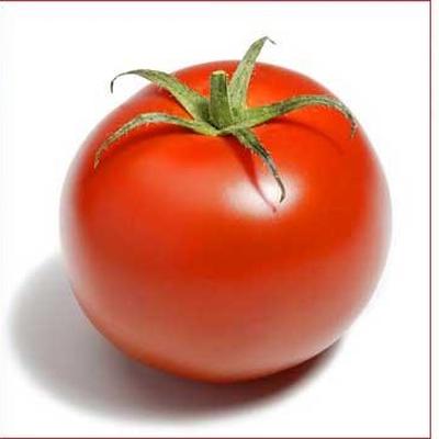 Was ist die Tomate wirklich ?