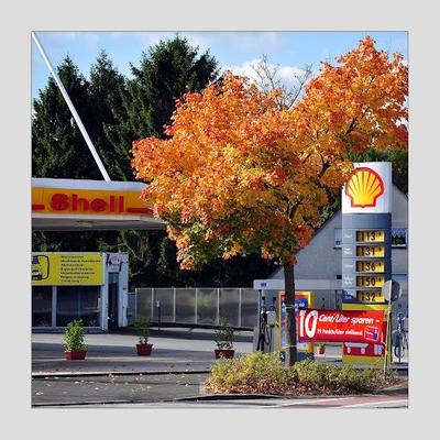Meint ihr, dass das Benzin über 2 Euro noch in diesem Jahr steigen wird?