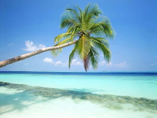 Wart ihr schon einmal im Tropical Island ?