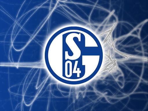 Schalke verpflichtet Obasi