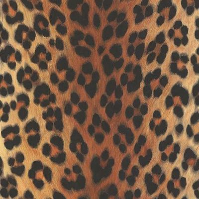 Mögt ihr Leopardenmuster? (z.B. mein Profil)