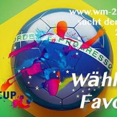 WM 2014 Iran-Nigeria (Spiel 12)