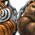 Wer ist stärker Grizzlybär oder Tiger?