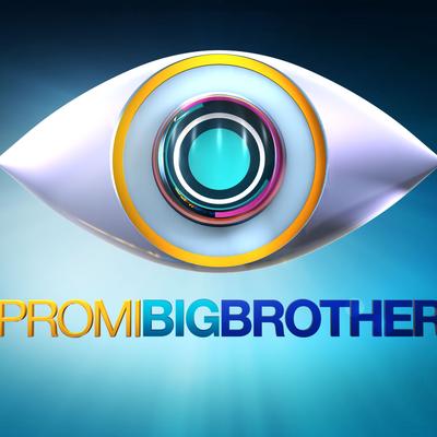 Promi Big Brother 2014: Wer soll gewinnen? (Top 6)