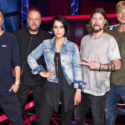 The Voice of Germany 2014 - 2. Blind Audition: Dein Lieblingstalent?