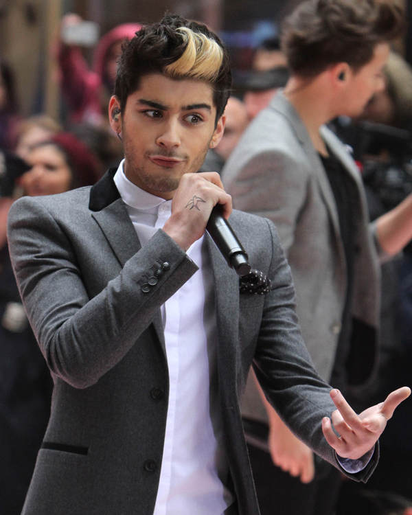 1.Zayn Malik (dsdssuperfan)