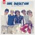 What Makes You Beautiful - One Direction (dsdssuperfan)
