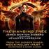 James Newton Howard Feat. Jennifer Lawrence - The Hanging Tree