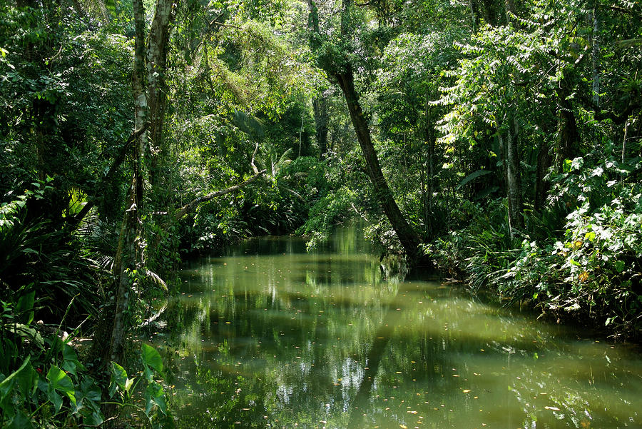 3.Costa Rica - Hoven100