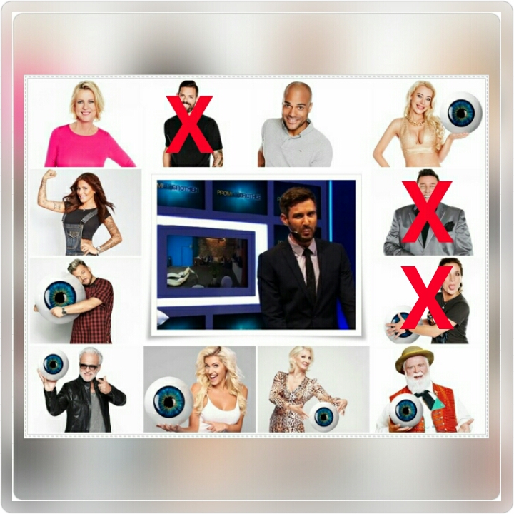 --Promi Big Brother: Wer ist dein Favorit (Top 09)--