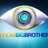 Promi Big Brother 2015 // Runde 1  - Top 12 // Wer ist dein Liebling?
