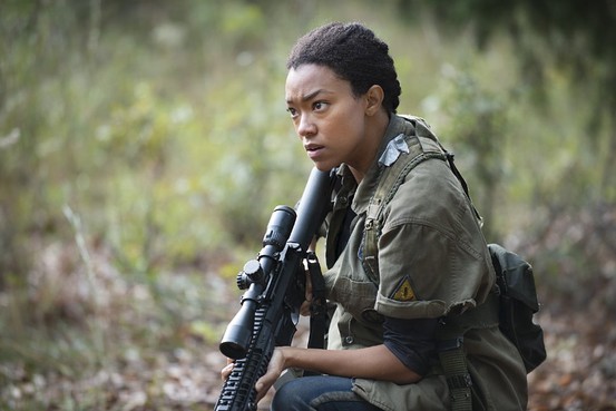 Sasha Williams