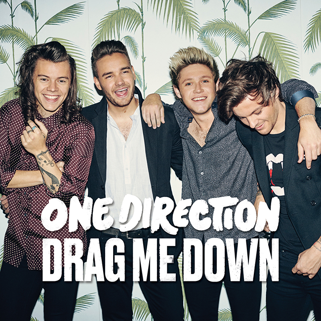 Drag Me Down von One Direction (Timmy)