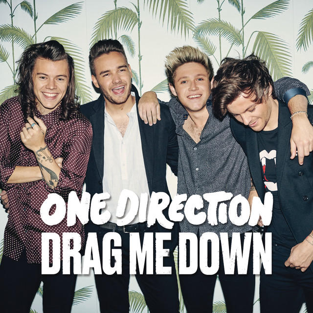 Drag Me Down - One Direction (Timmy)