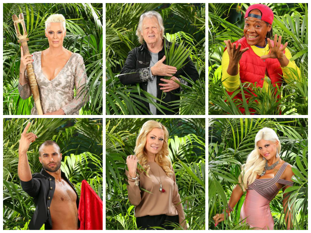 IBES 2016: Dein Lieblingskandidat aus Team Basecamp?