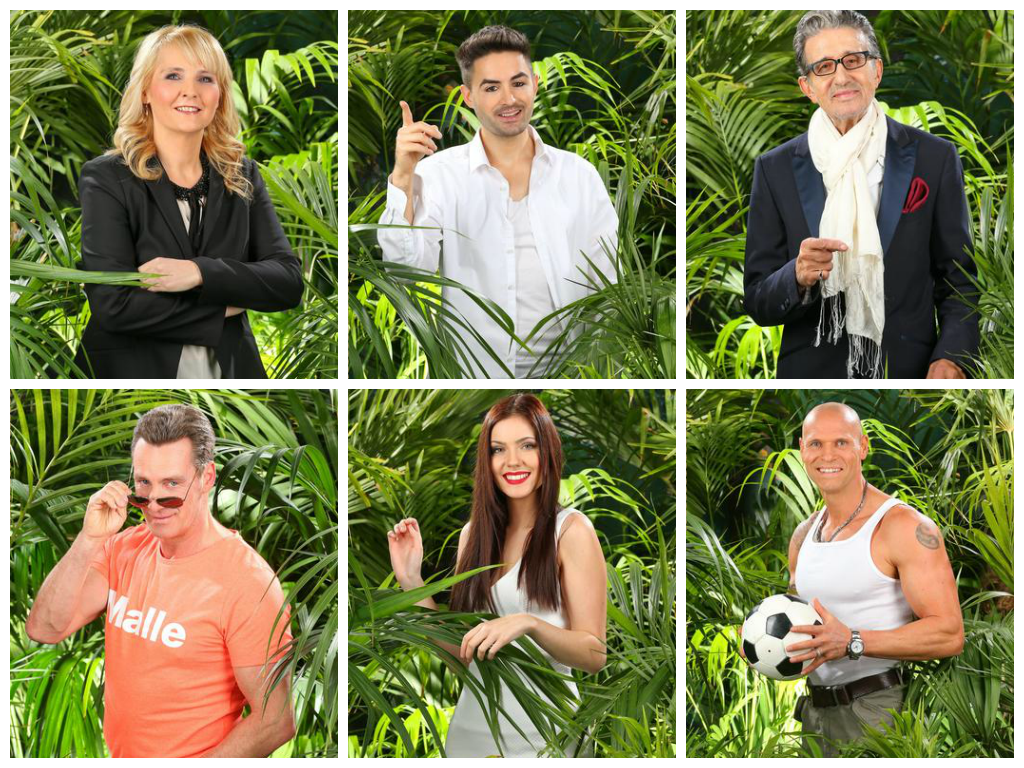 IBES 2016: Dein Lieblingskandidat aus Team Snake Rock?