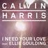 I Need Your Love (Calvin Harris Song)