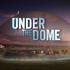 Under the Dome - (tigerhai98)