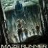 Maze Runner - Die Gefährten im Labyrinth - (teigelkampphil)