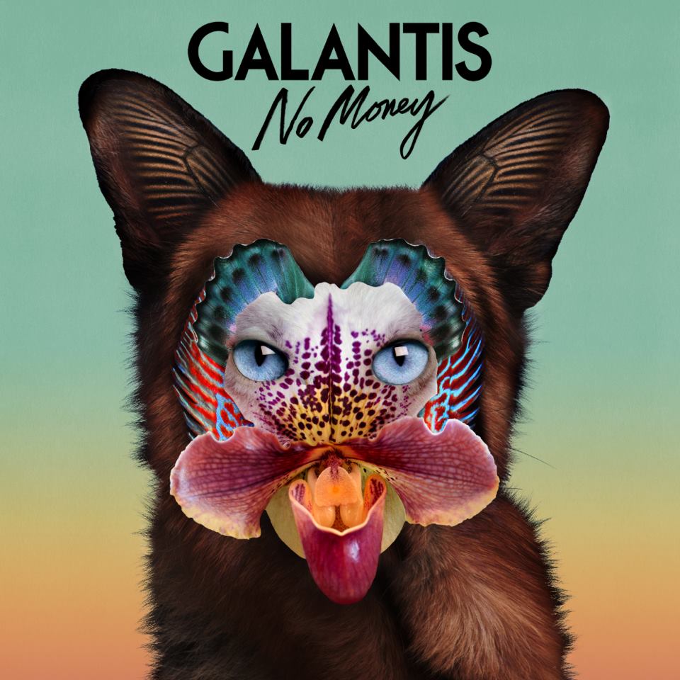 No Money - Galantis // musicfreak97