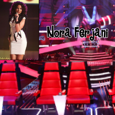 Voycer's The Voice of Germany 2017 // Blind Auditions - Nora Ferjani //