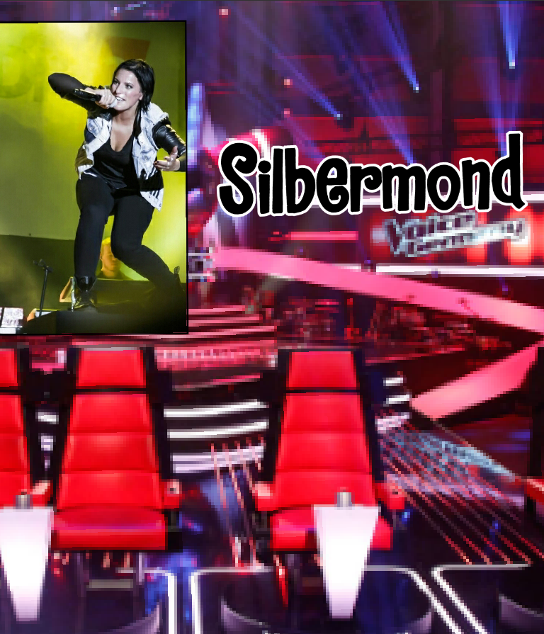 Voycer's The Voice of Germany 2017 // Blind Auditions - Silbermond //