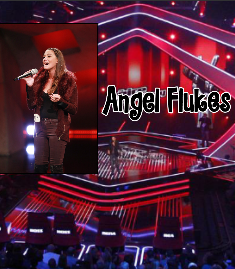 Voycer's The Voice of Germany 2017 // Blind Auditions - Angel Flukes //