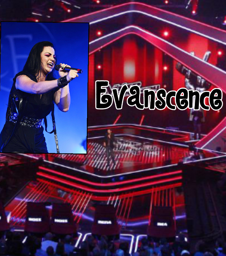 Voycer's The Voice of Germany 2017 // Blind Auditions - Evanscence //