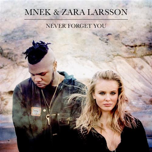 Never Forget You (feat. Mnek)