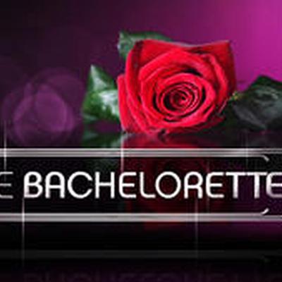 Opinionstar's Bachelorette 2017 // Aufruf 1