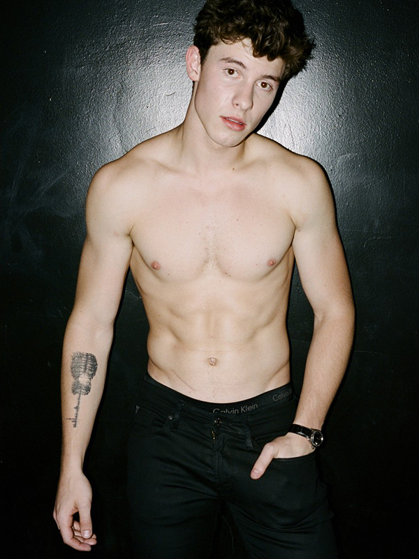 Shawn Mendes (Chile)